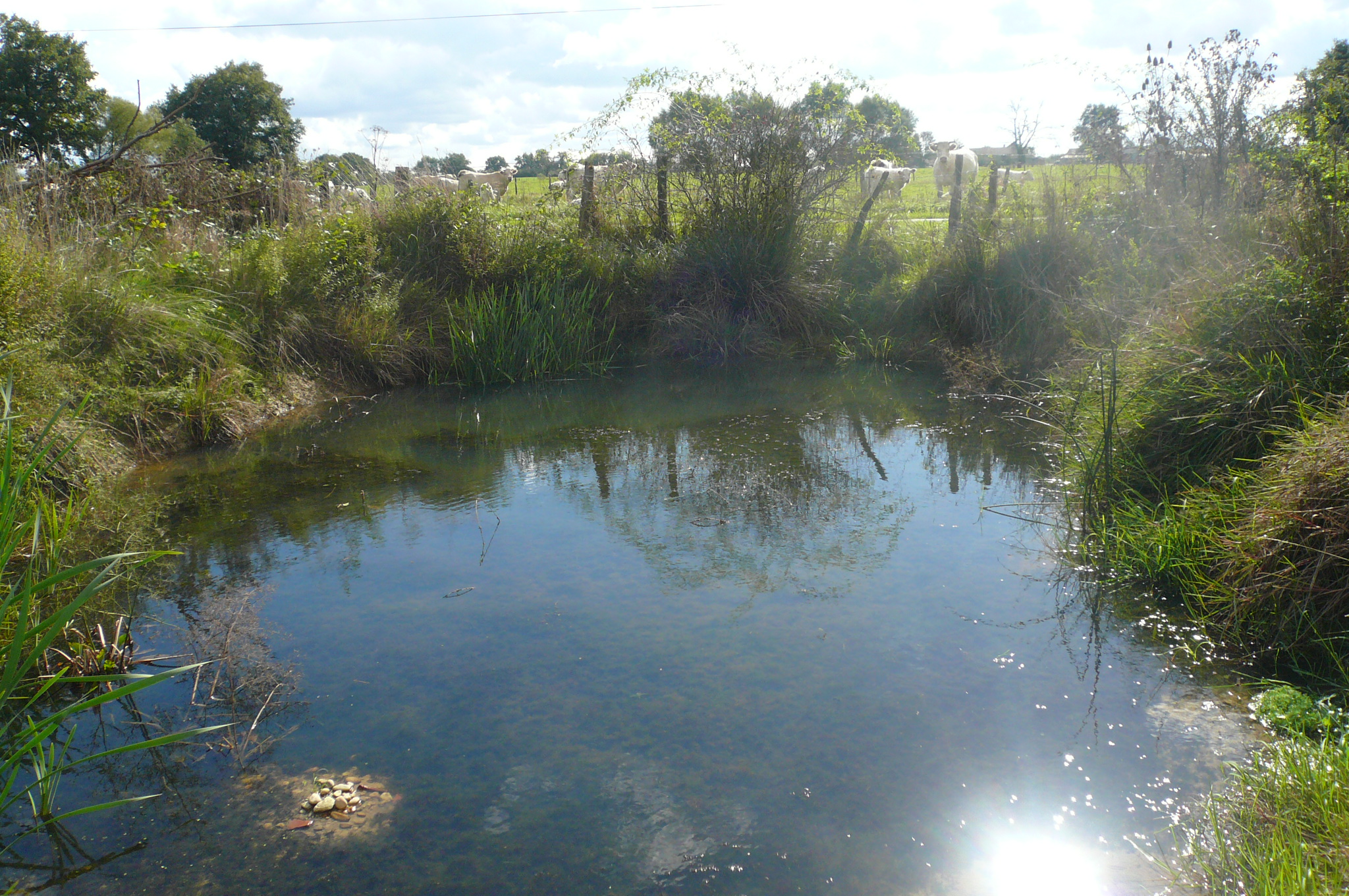 Préserver la ressource en eau, rôle méconnu des carrières