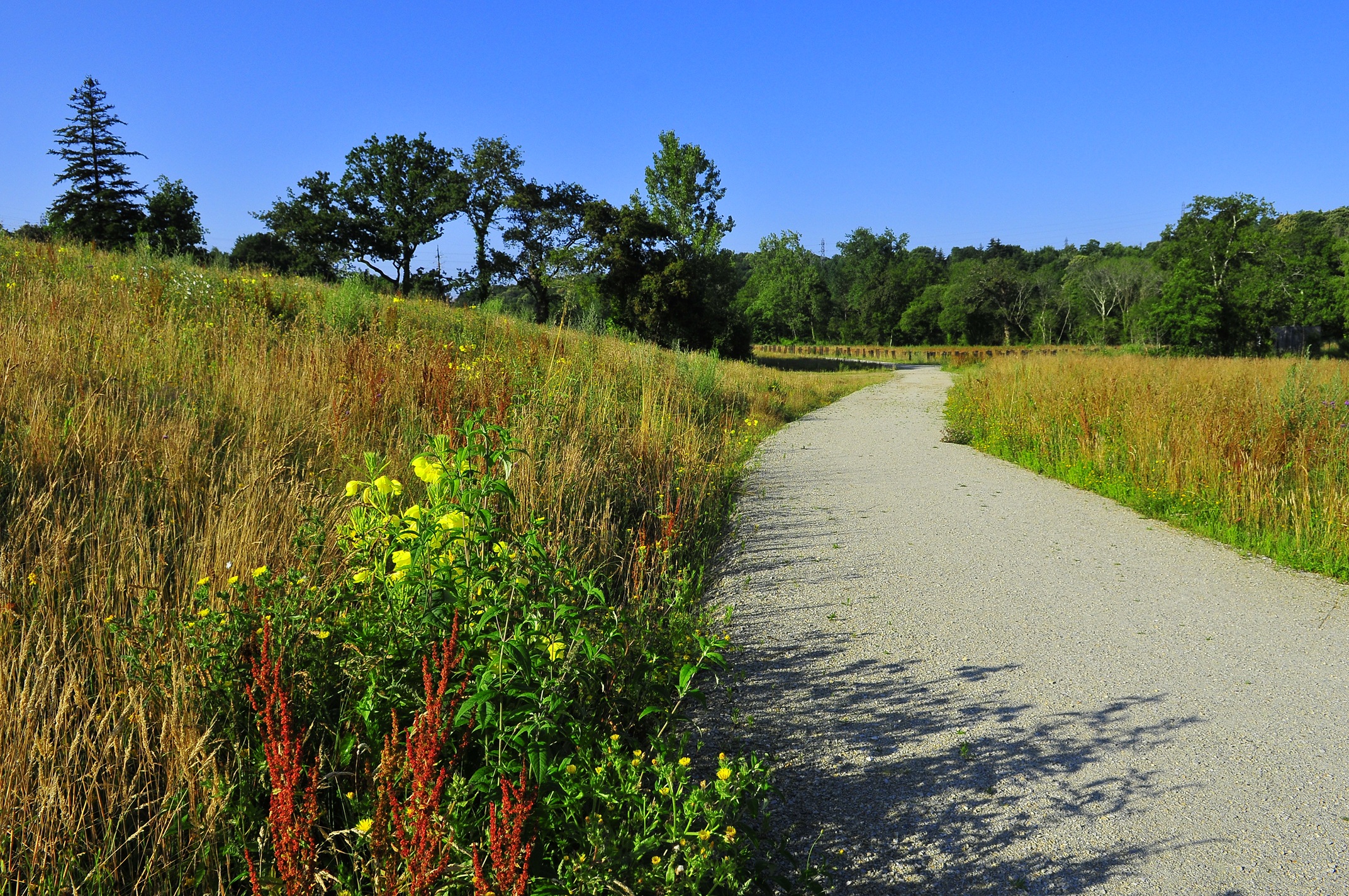 En France, la consommation foncière en 2023 est la plus faible enregistrée depuis 15 ans