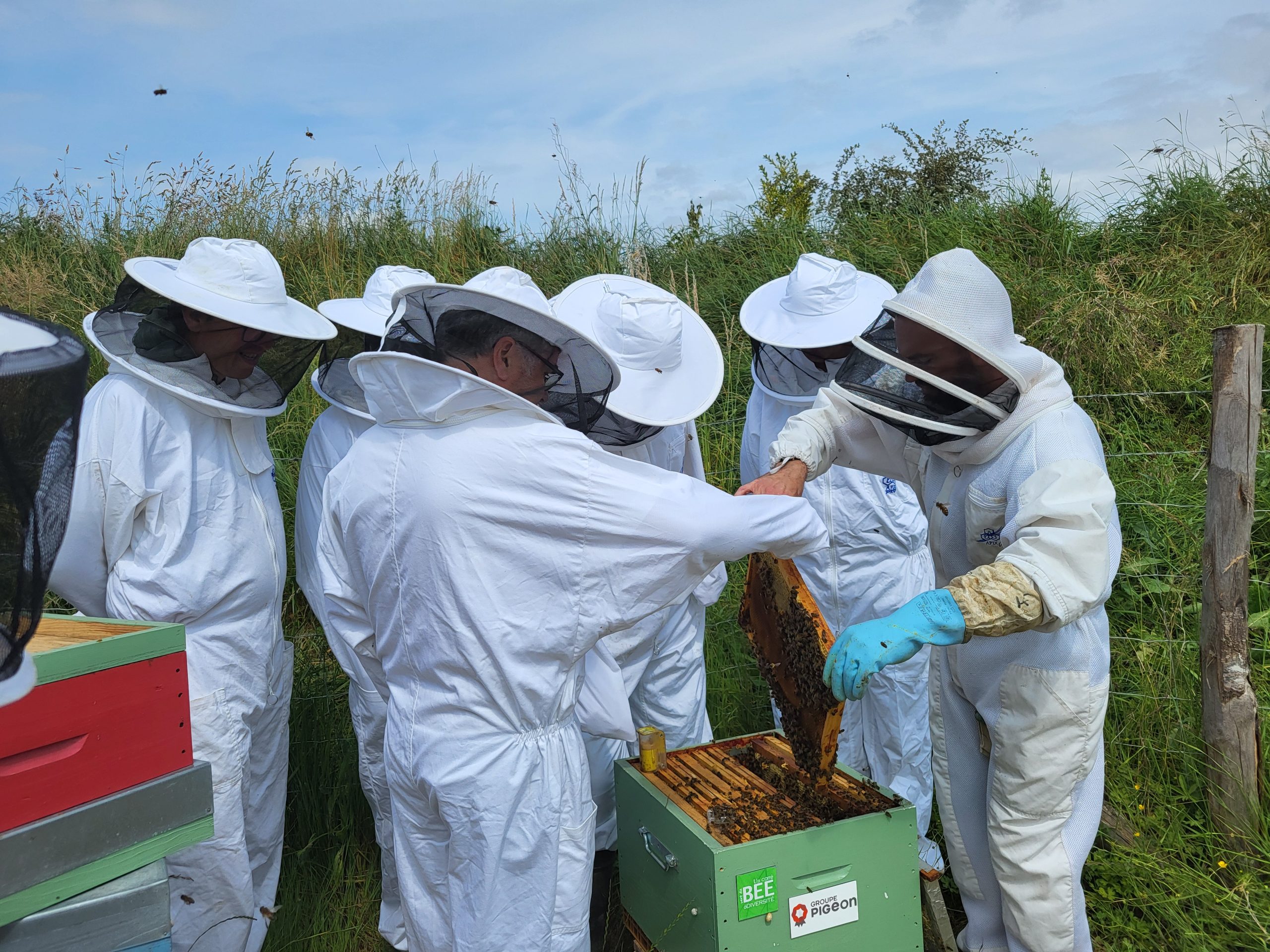 Préserver les pollinisateurs, une sensibilisation menée par l&rsquo;Unicem